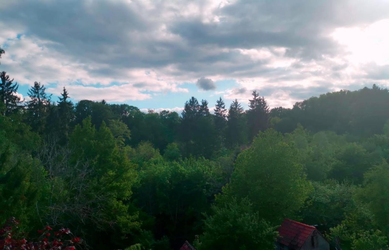 Ferienwohnung Im Manbach Freudenstadt Luaran gambar
