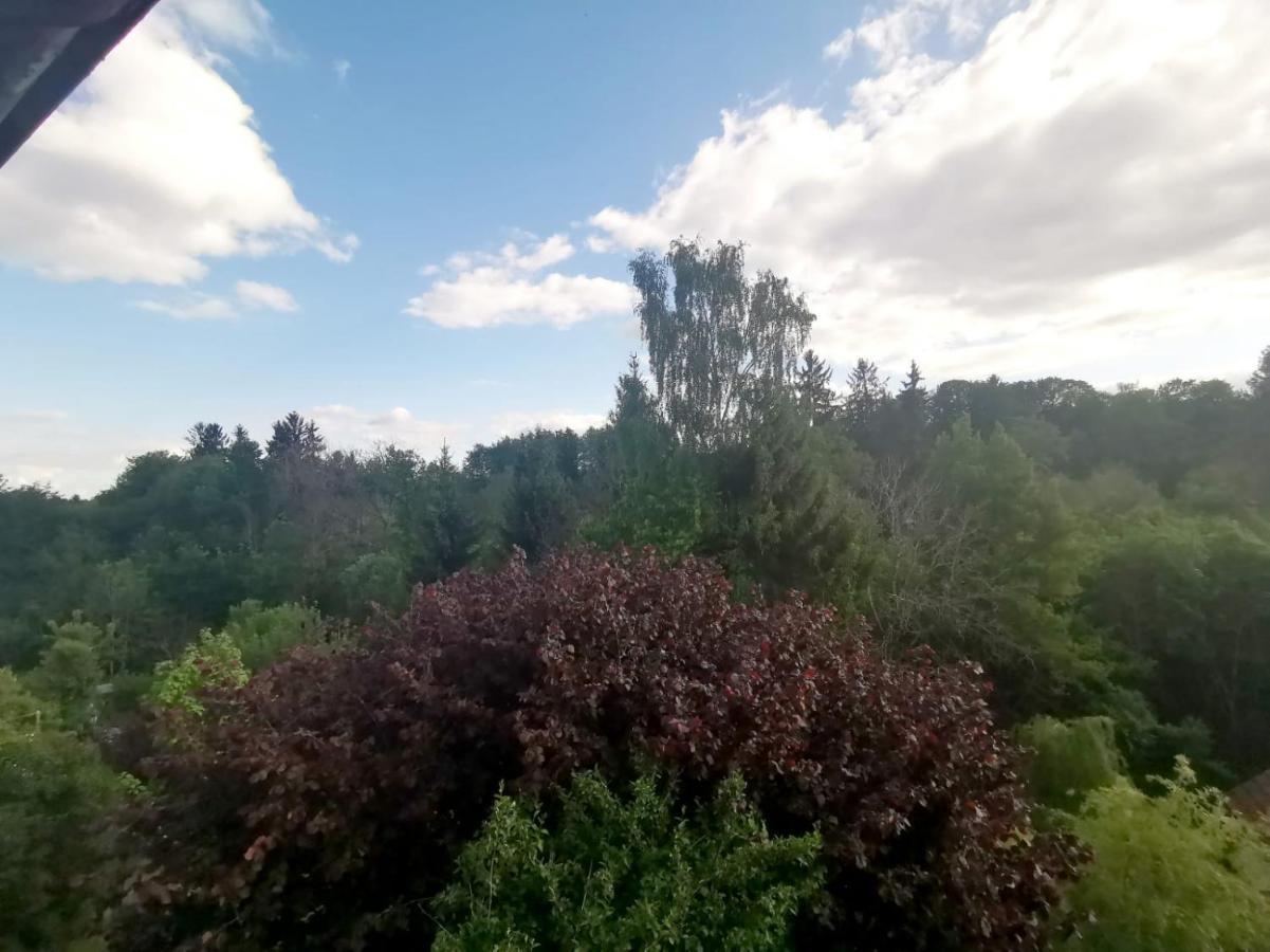 Ferienwohnung Im Manbach Freudenstadt Luaran gambar